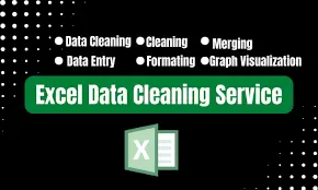 Microsoft Excel data cleaning